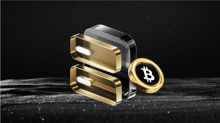 What is Spacecoin (SPACECOIN) Coin?