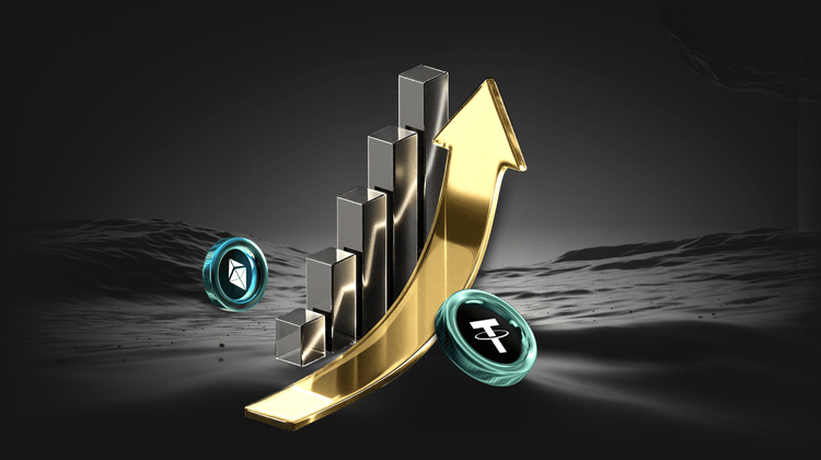 Looking Back at Alpaca Finance: When FUD Turns into a Brief Wealth Code