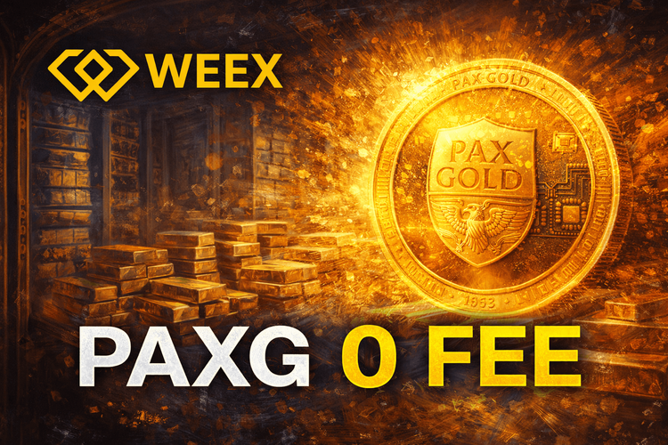 PAXG & WEEX Zero-Fee Gold Futures: A Practical PAXG Guide for Traders and Investors (2026)